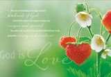 God is Love - boxed card set with scripture
